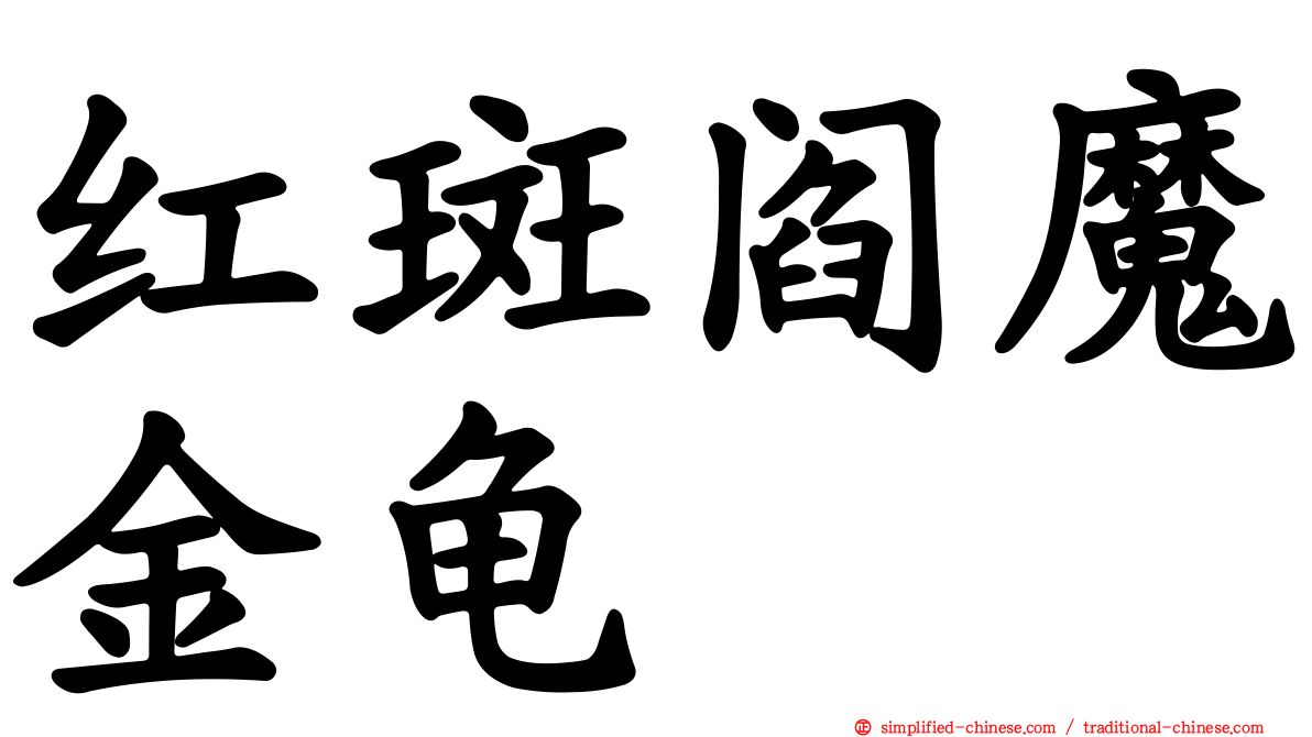 红斑阎魔金龟