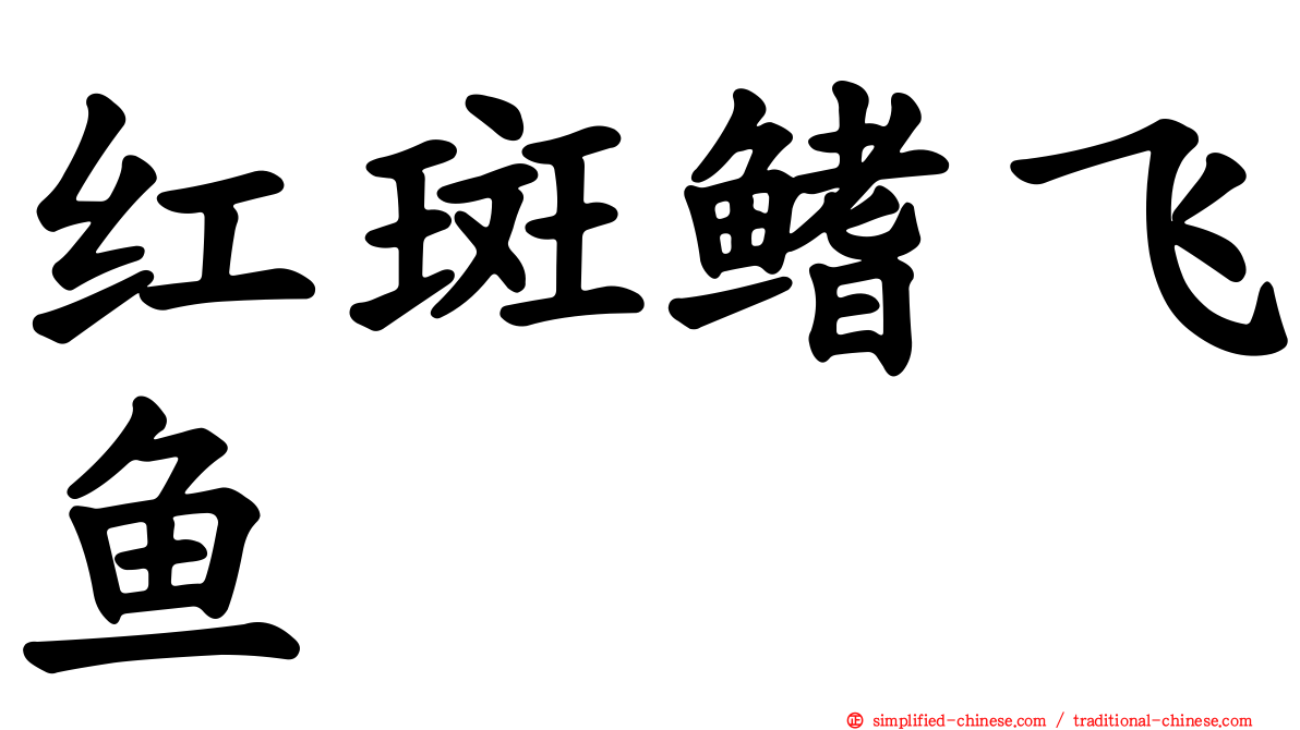 红斑鳍飞鱼