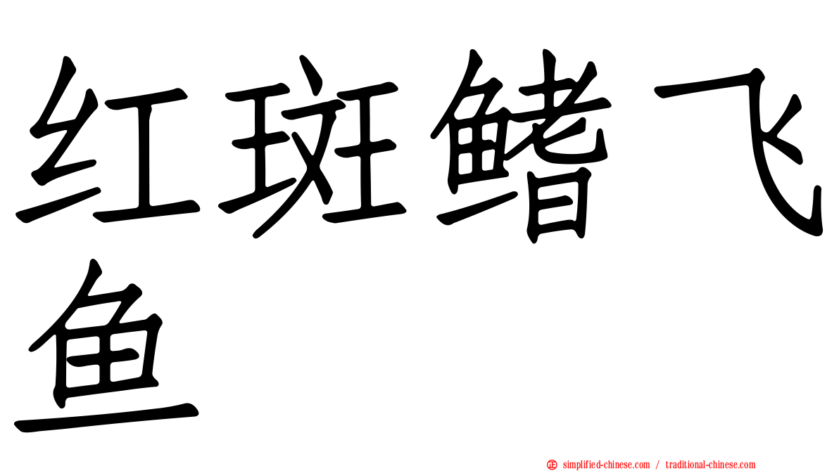 红斑鳍飞鱼