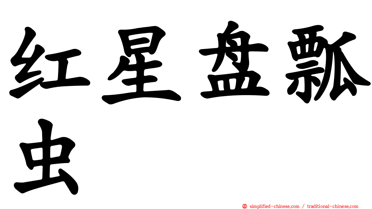 红星盘瓢虫