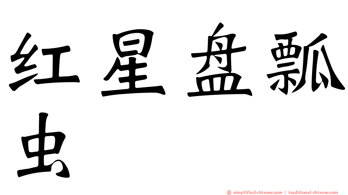 红星盘瓢虫