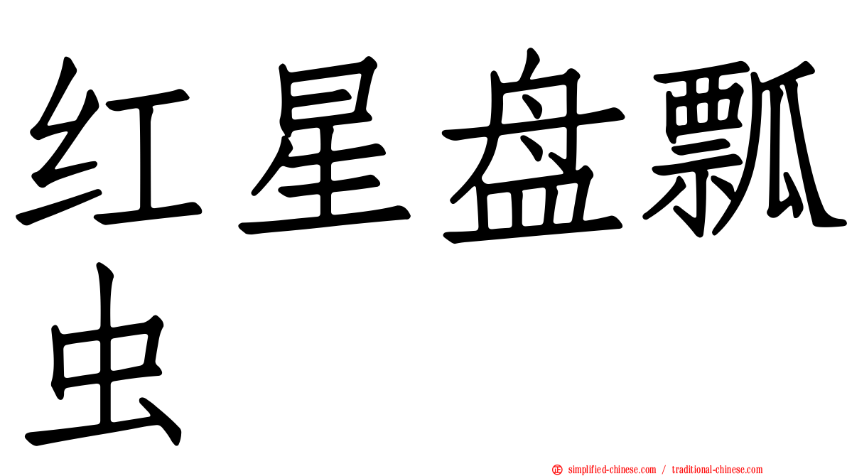红星盘瓢虫