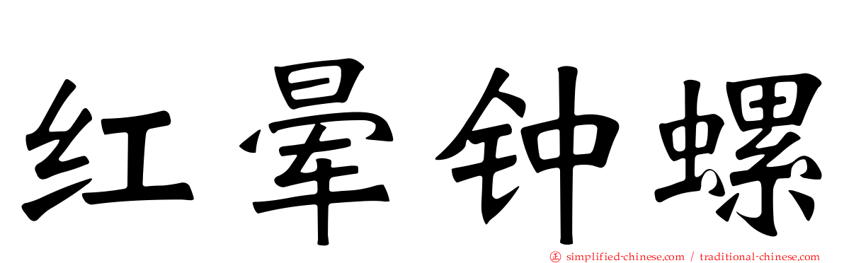 红晕钟螺