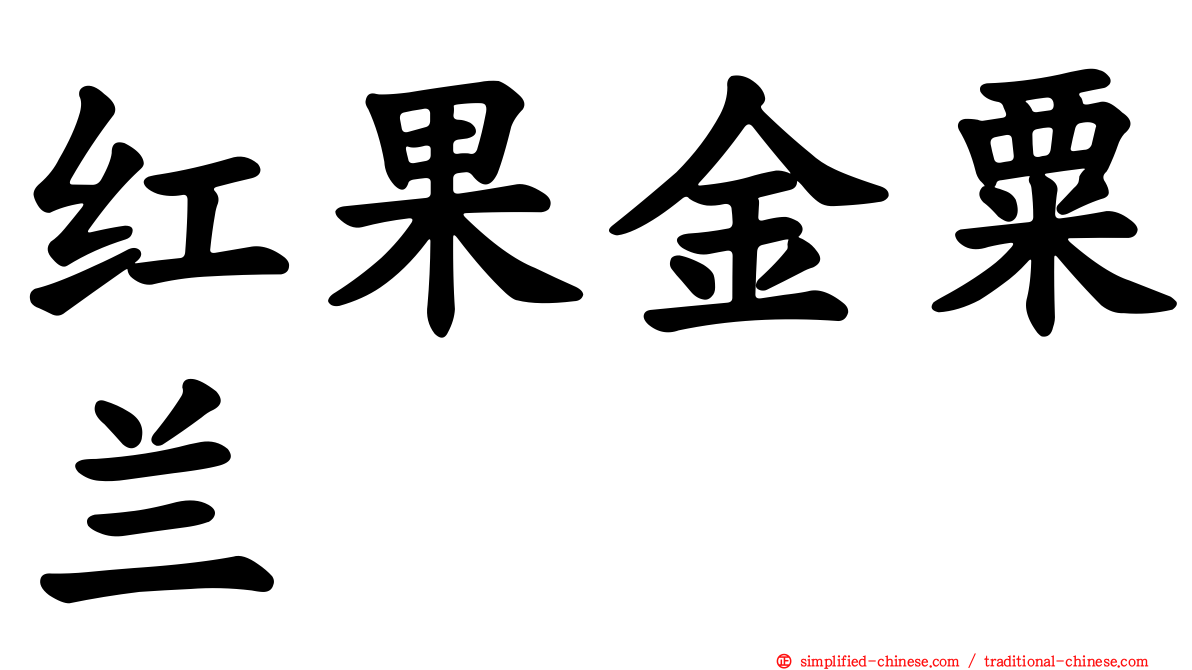 红果金粟兰