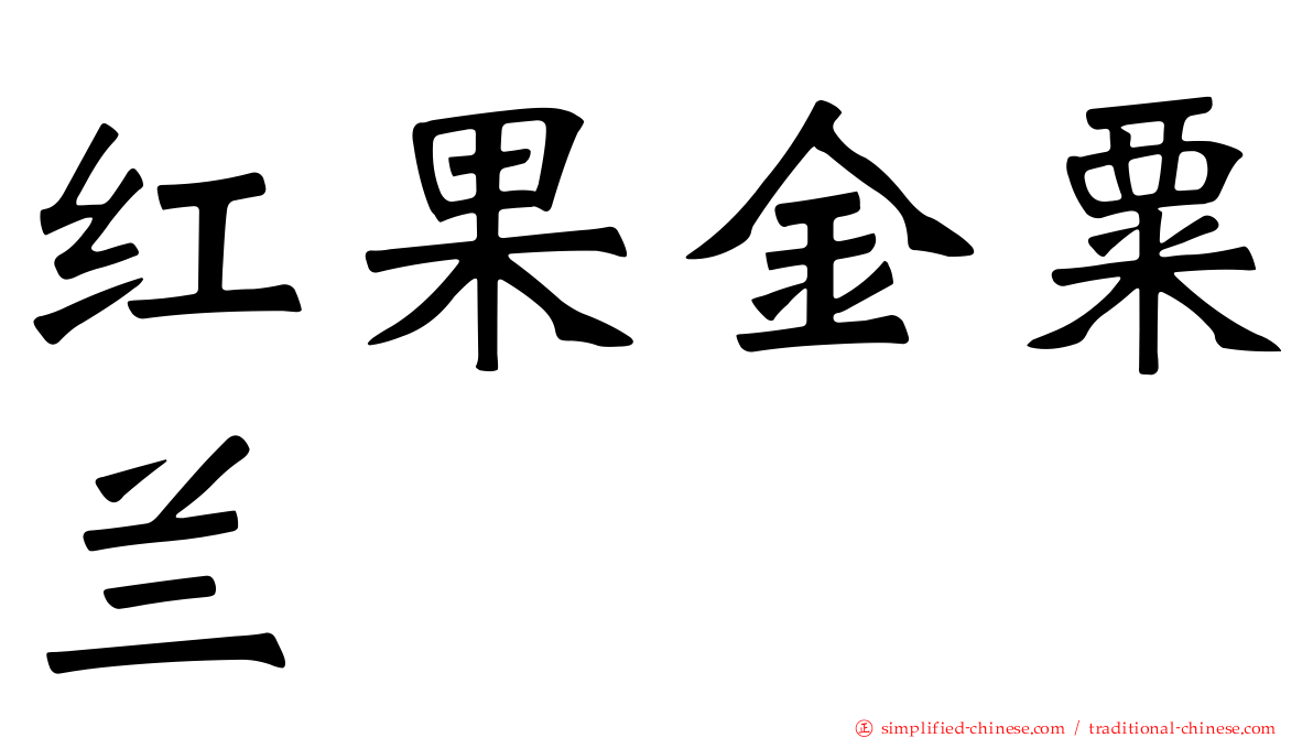 红果金粟兰