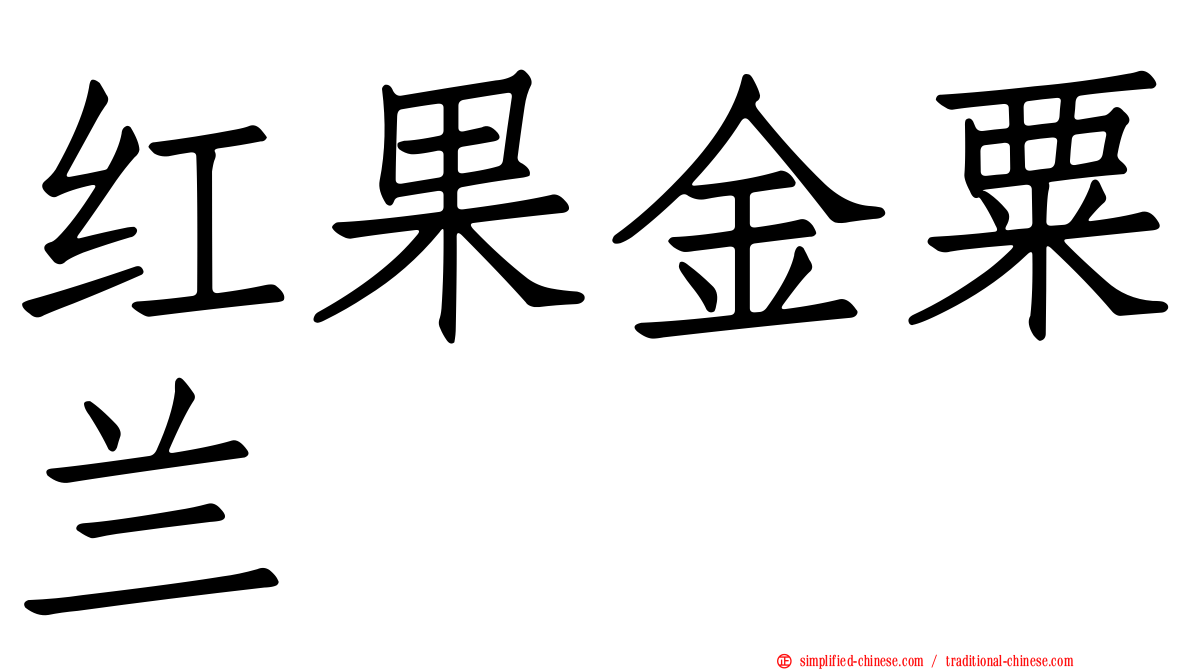 红果金粟兰