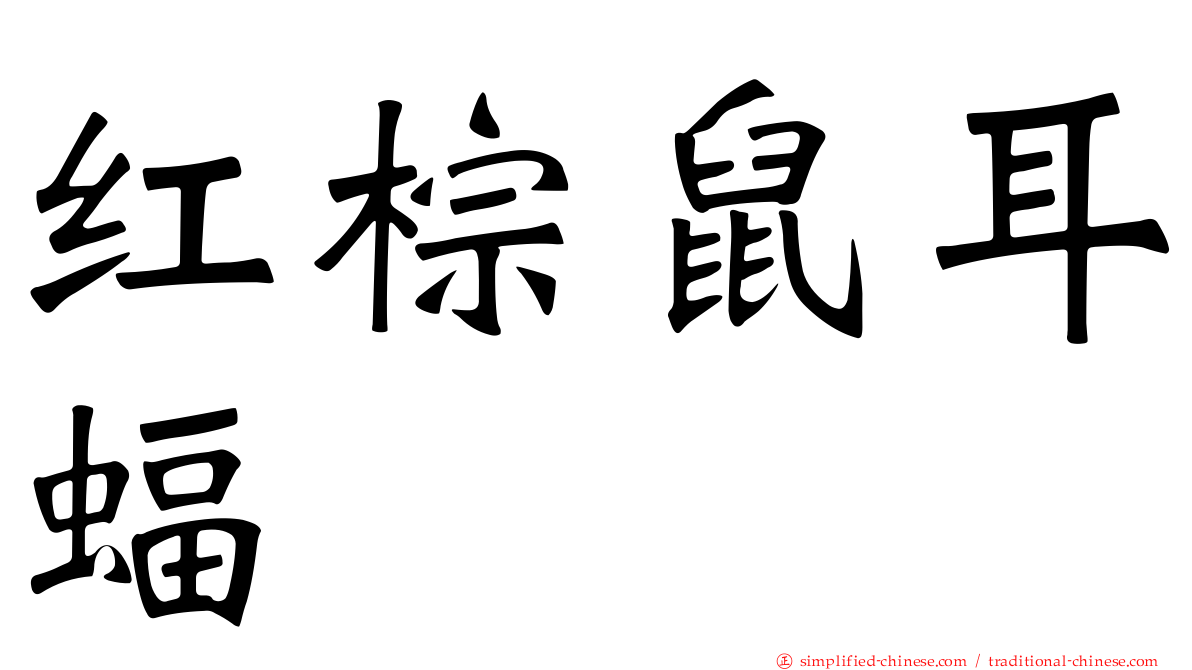 红棕鼠耳蝠