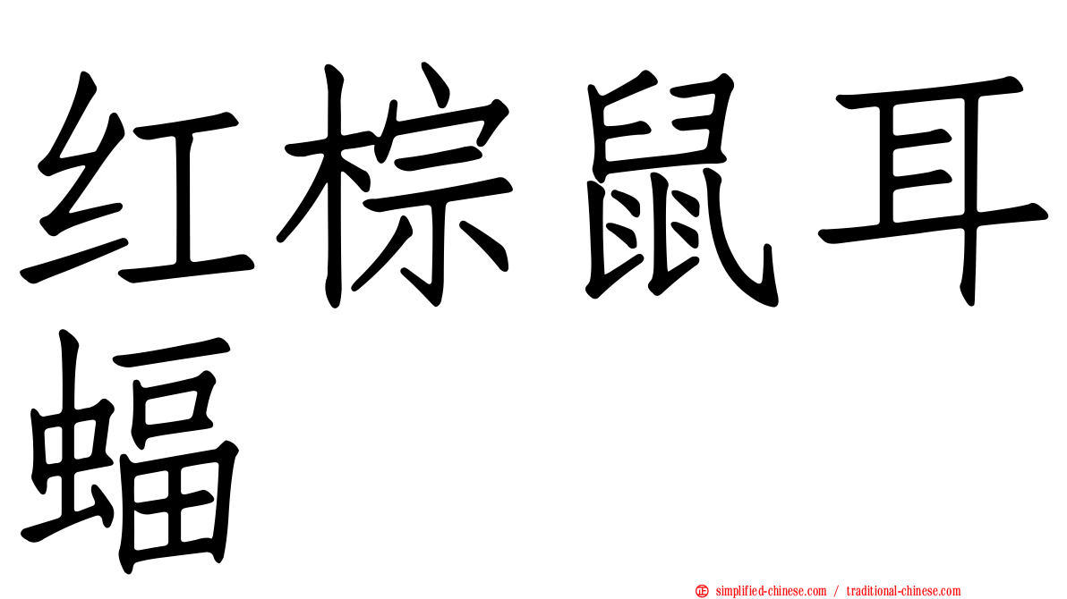 红棕鼠耳蝠