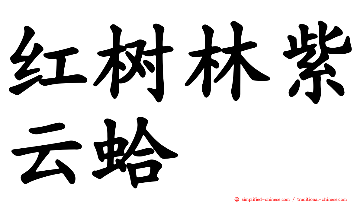 红树林紫云蛤