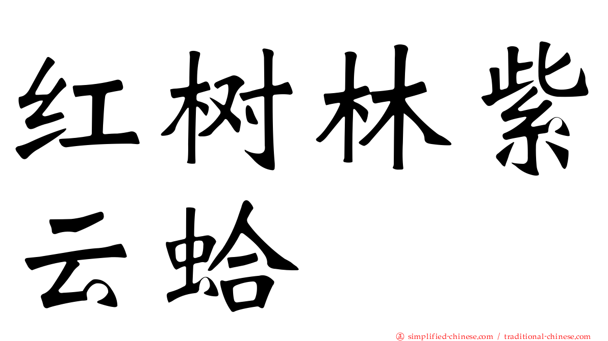 红树林紫云蛤