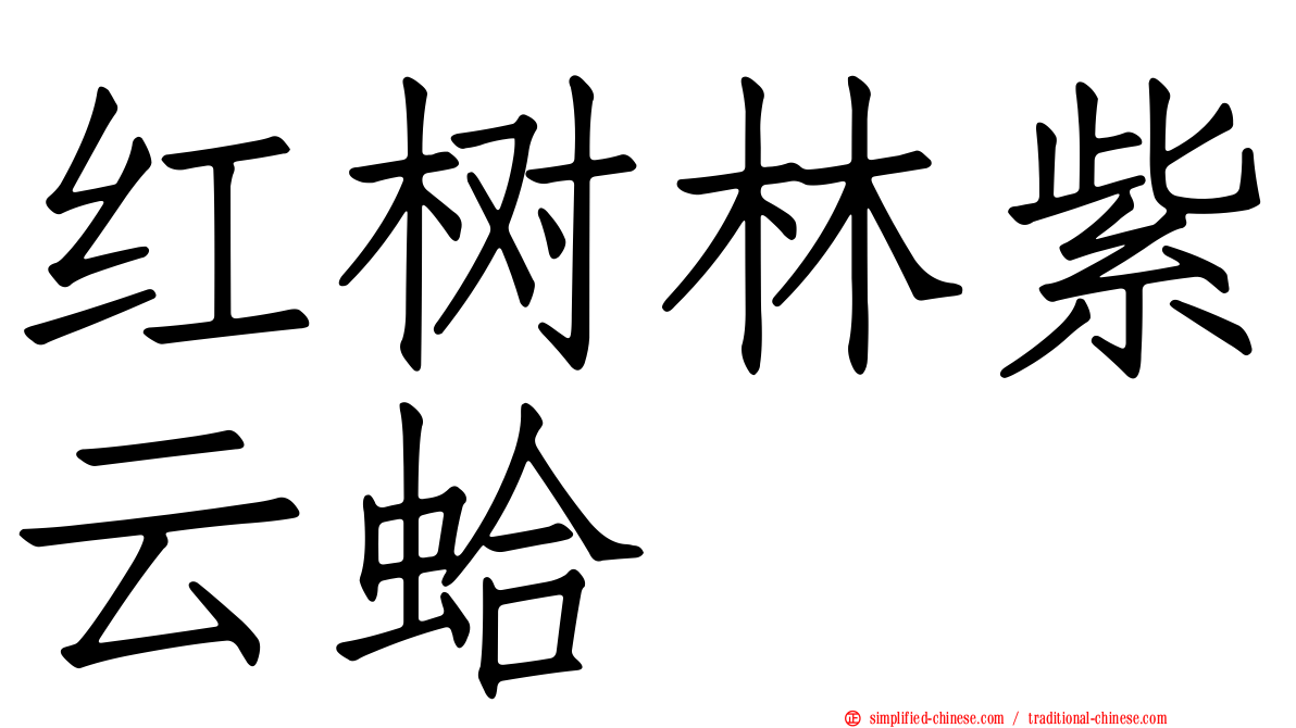 红树林紫云蛤