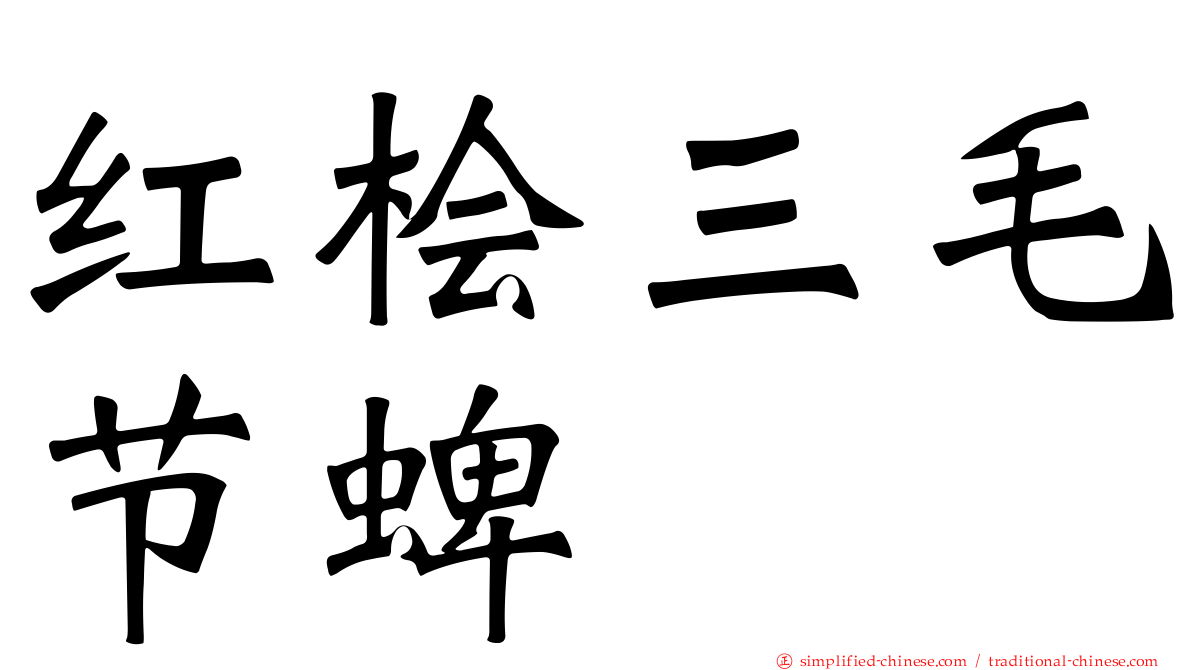 红桧三毛节蜱