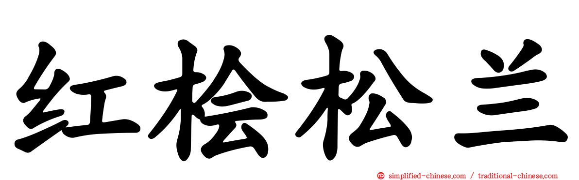 红桧松兰
