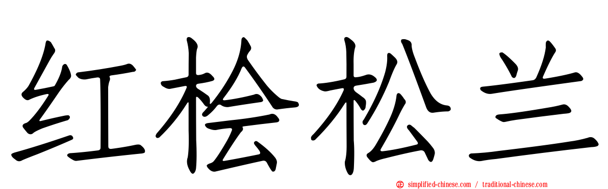 红桧松兰