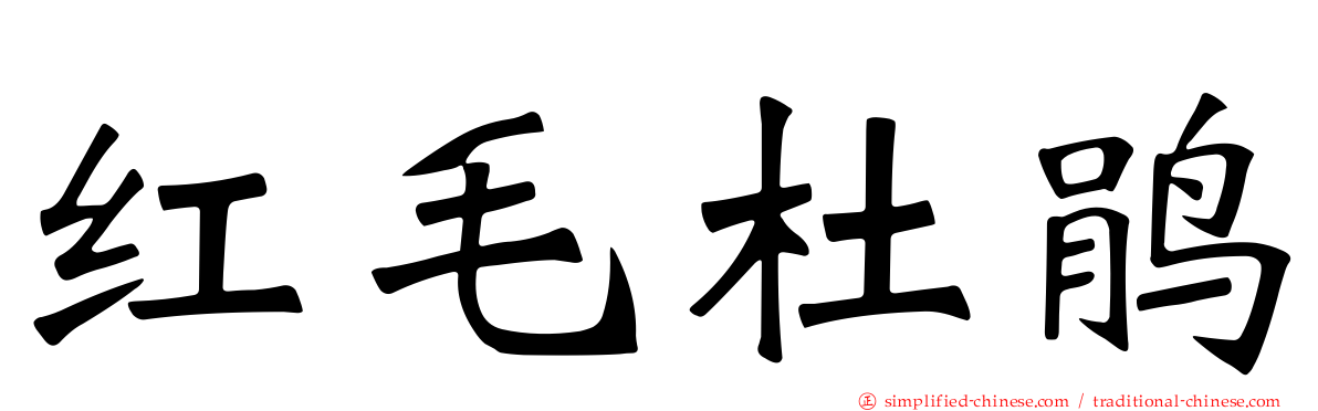 红毛杜鹃