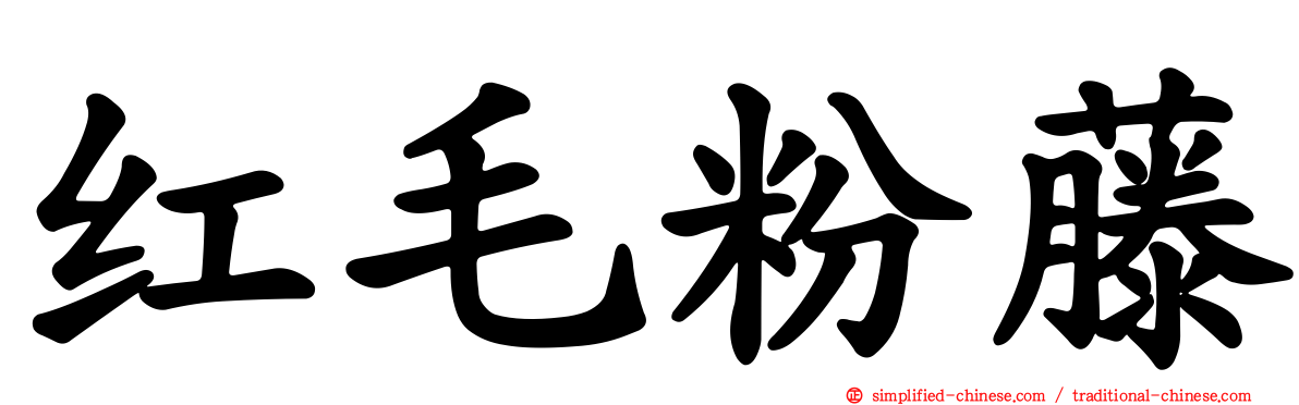 红毛粉藤