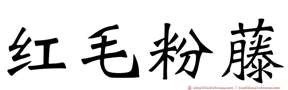 红毛粉藤
