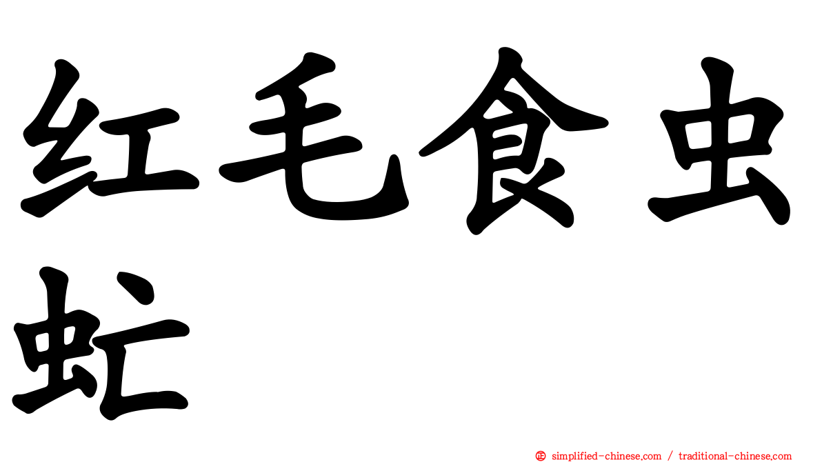 红毛食虫虻