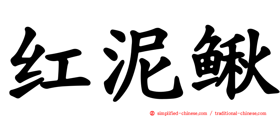红泥鳅