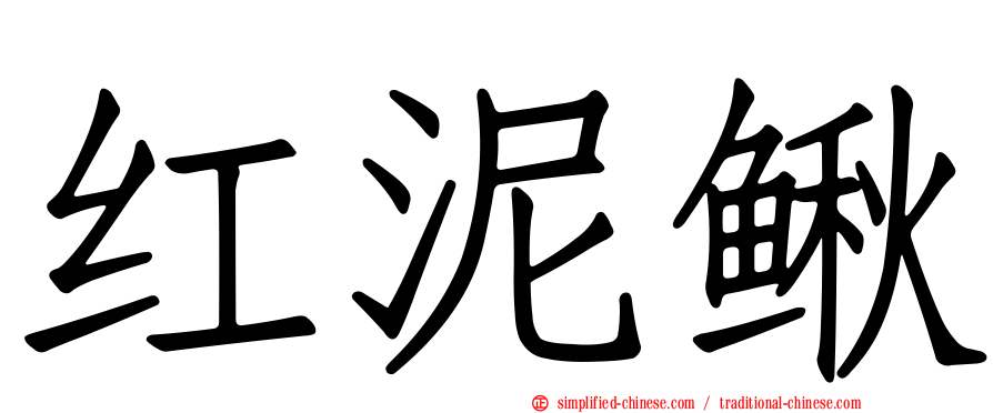 红泥鳅