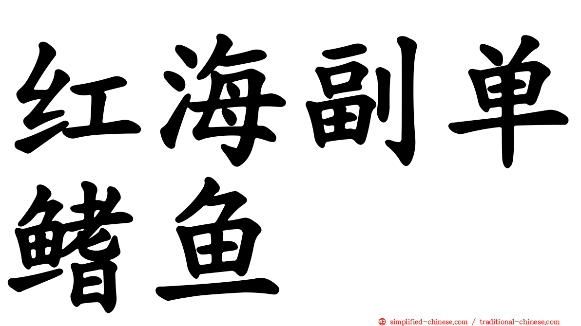 红海副单鳍鱼