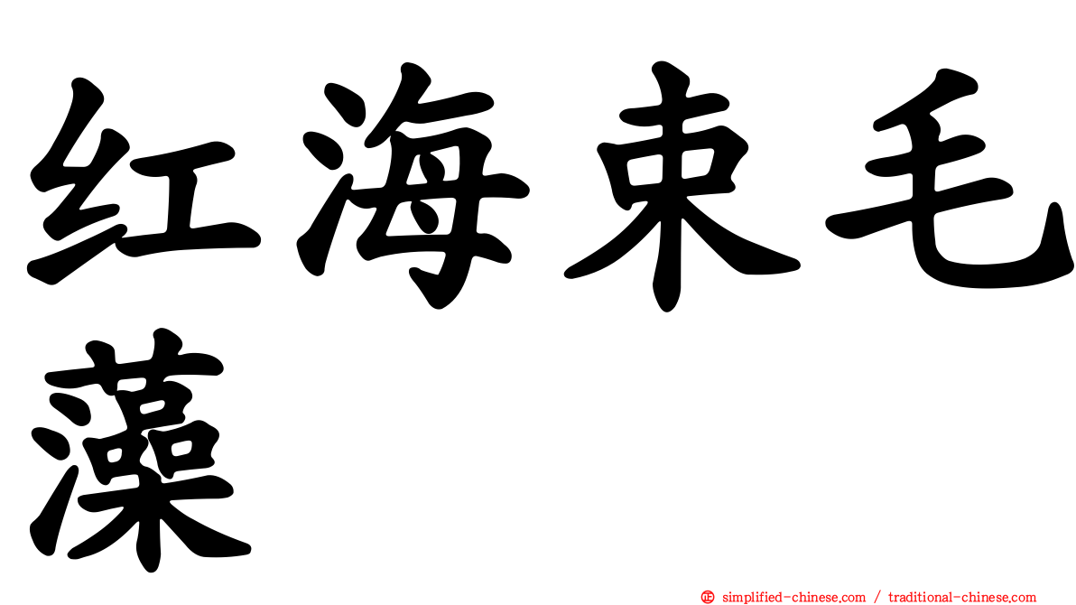 红海束毛藻