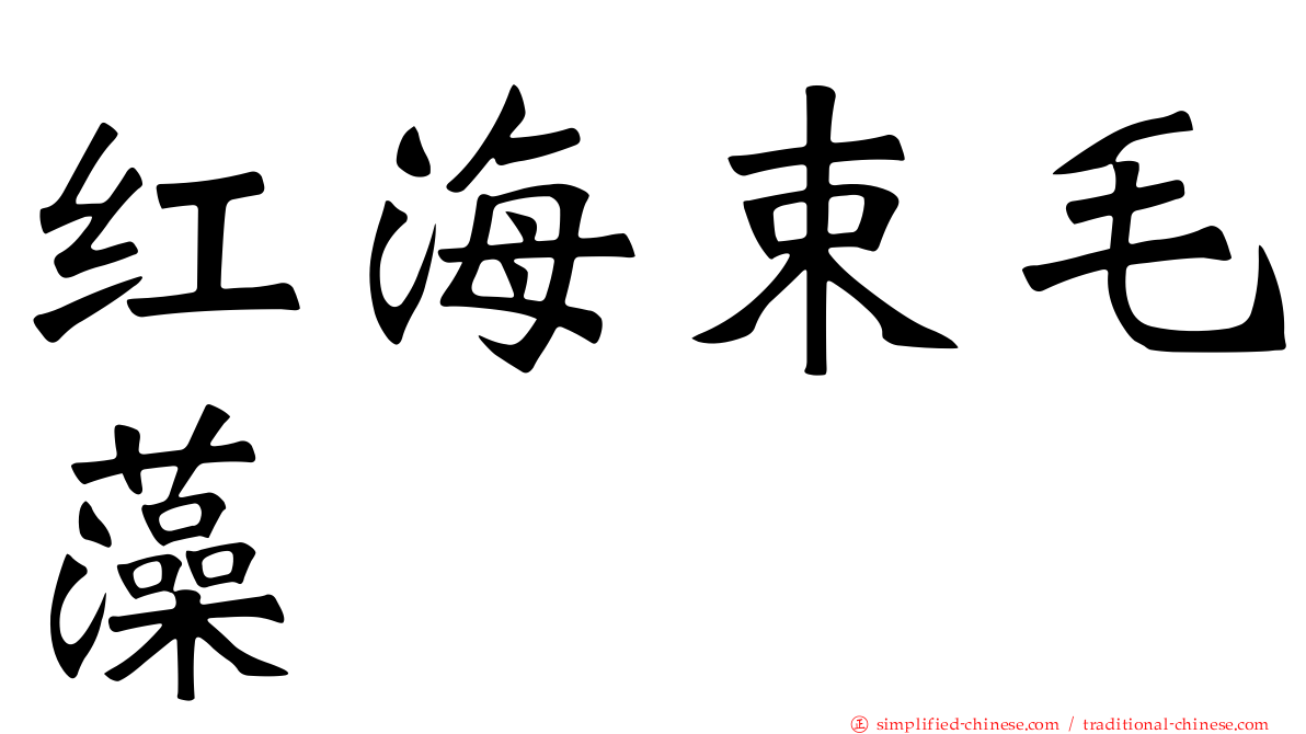 红海束毛藻