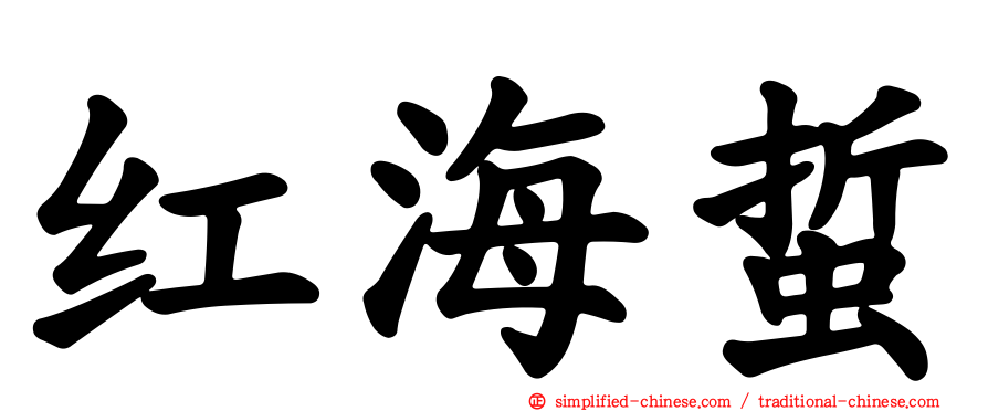 红海蜇