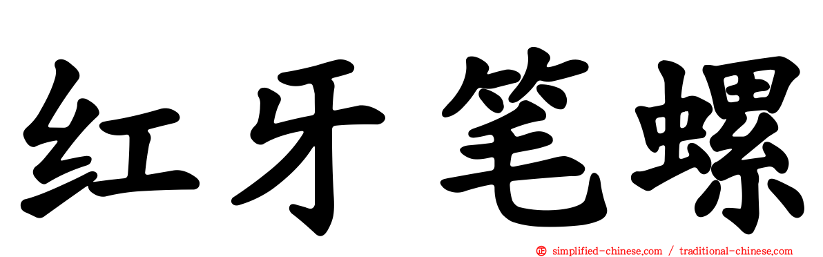 红牙笔螺