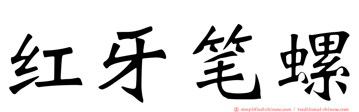 红牙笔螺