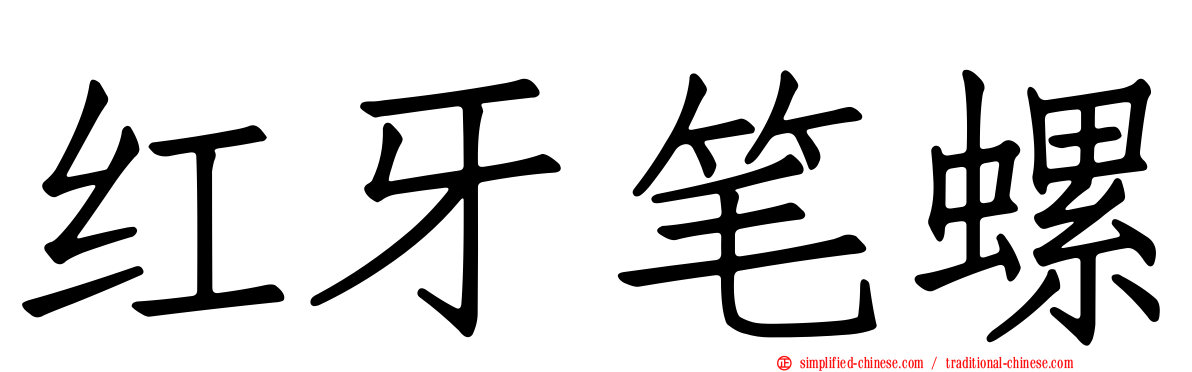 红牙笔螺
