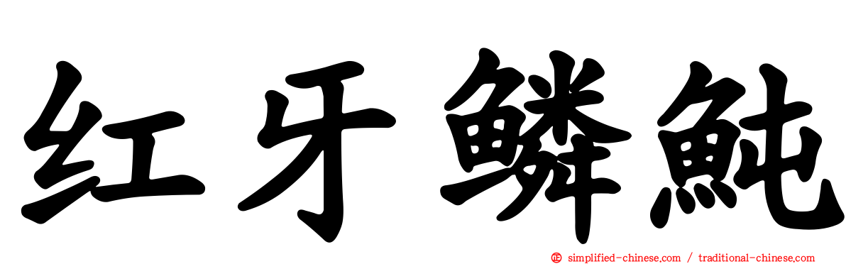 红牙鳞鲀