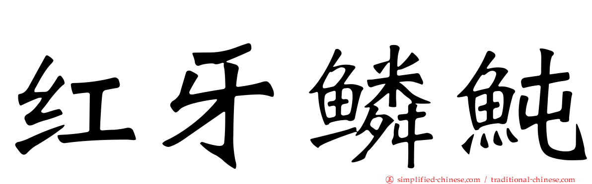 红牙鳞鲀