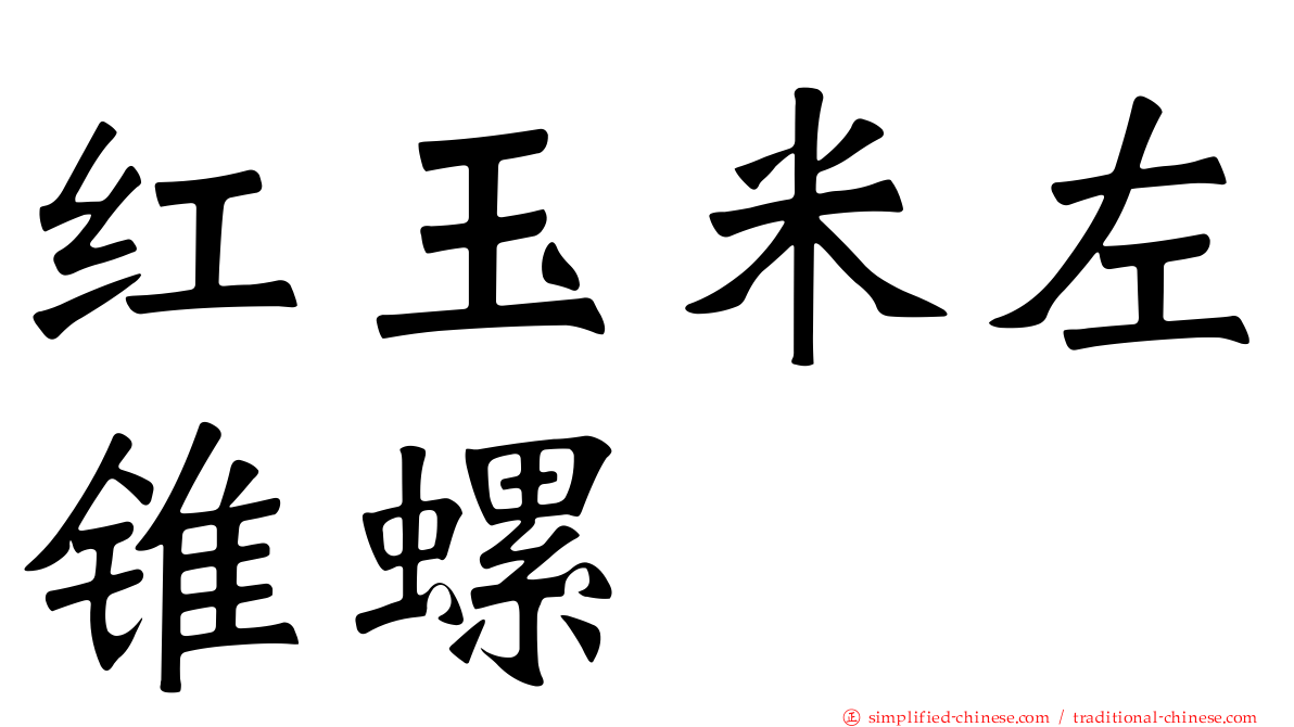 红玉米左锥螺