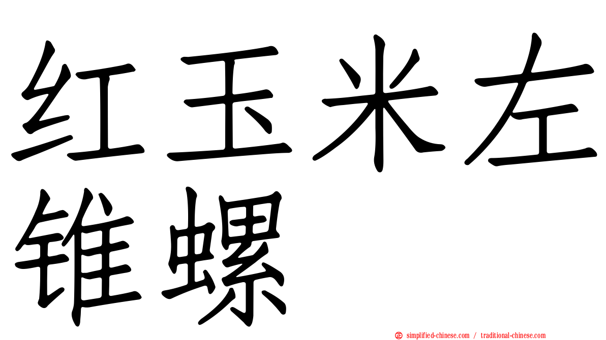 红玉米左锥螺