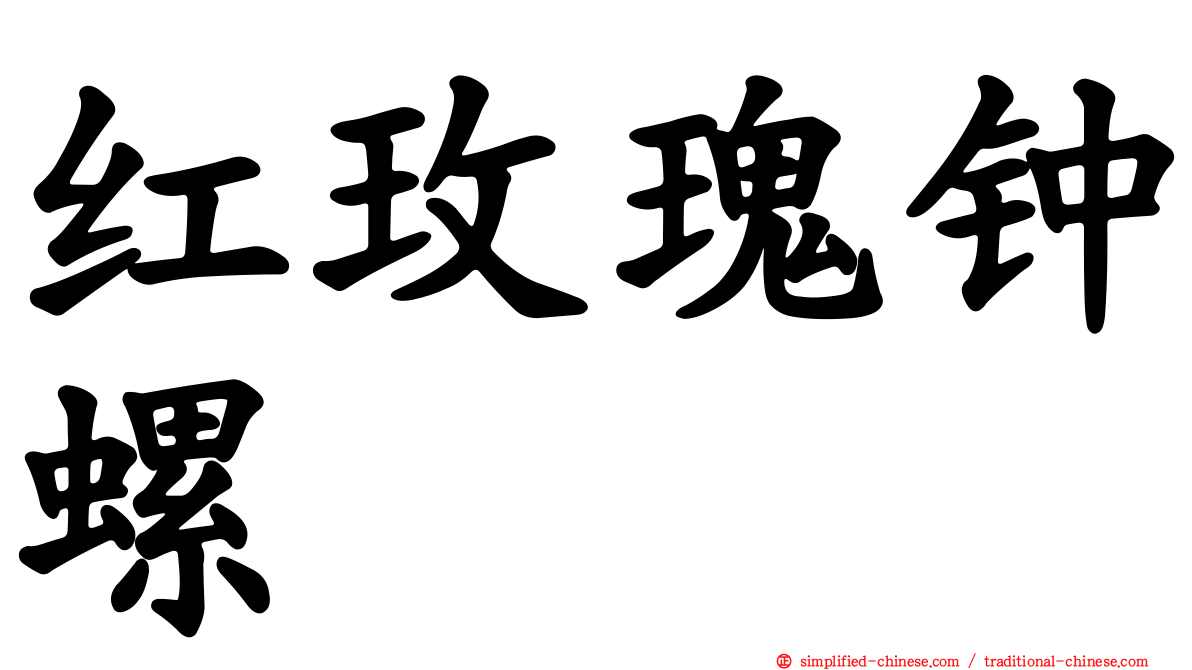 红玫瑰钟螺