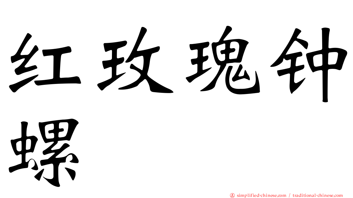 红玫瑰钟螺