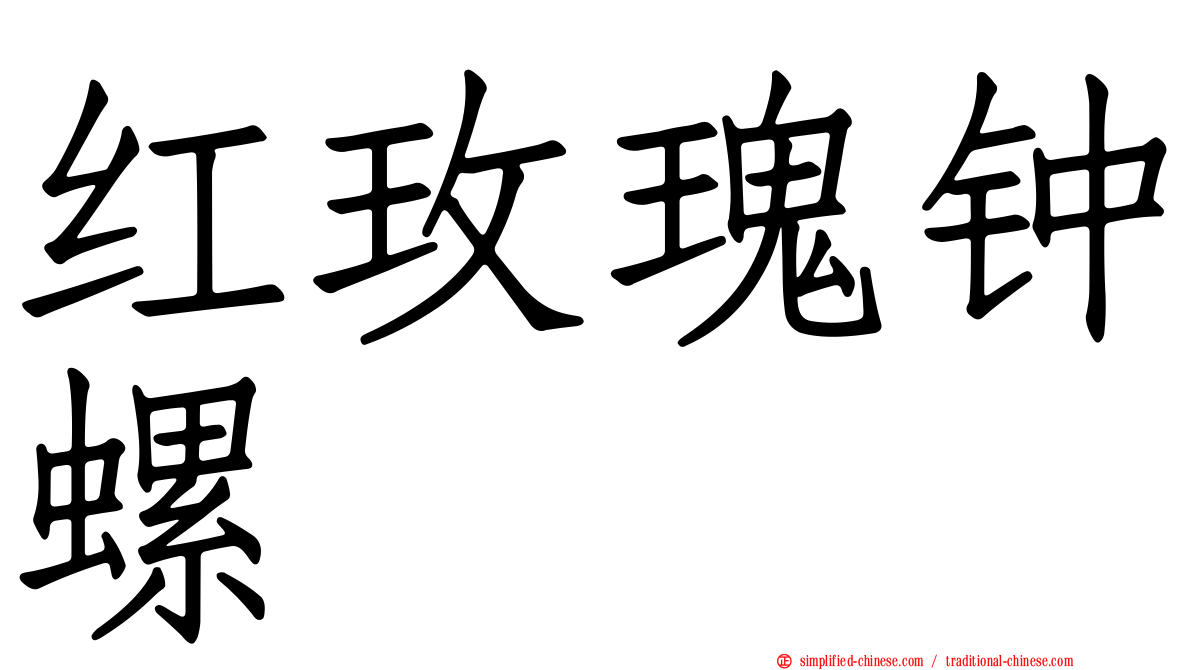 红玫瑰钟螺