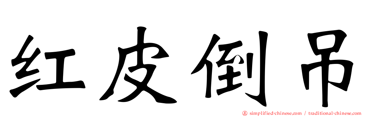 红皮倒吊