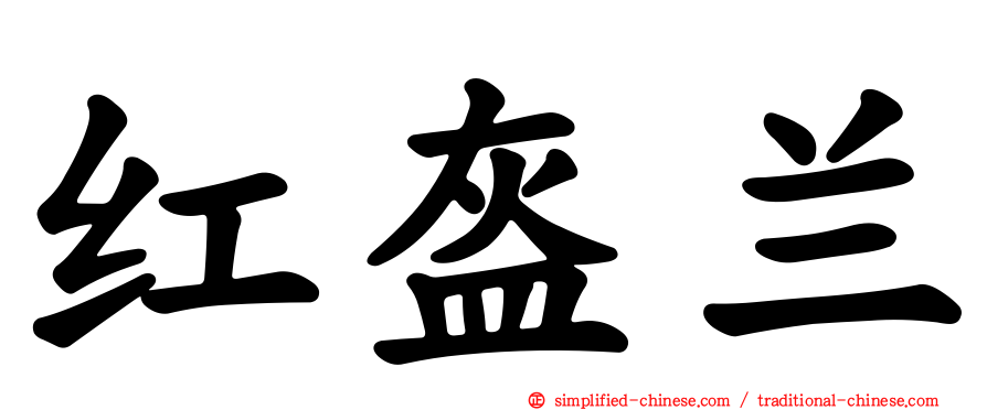 红盔兰