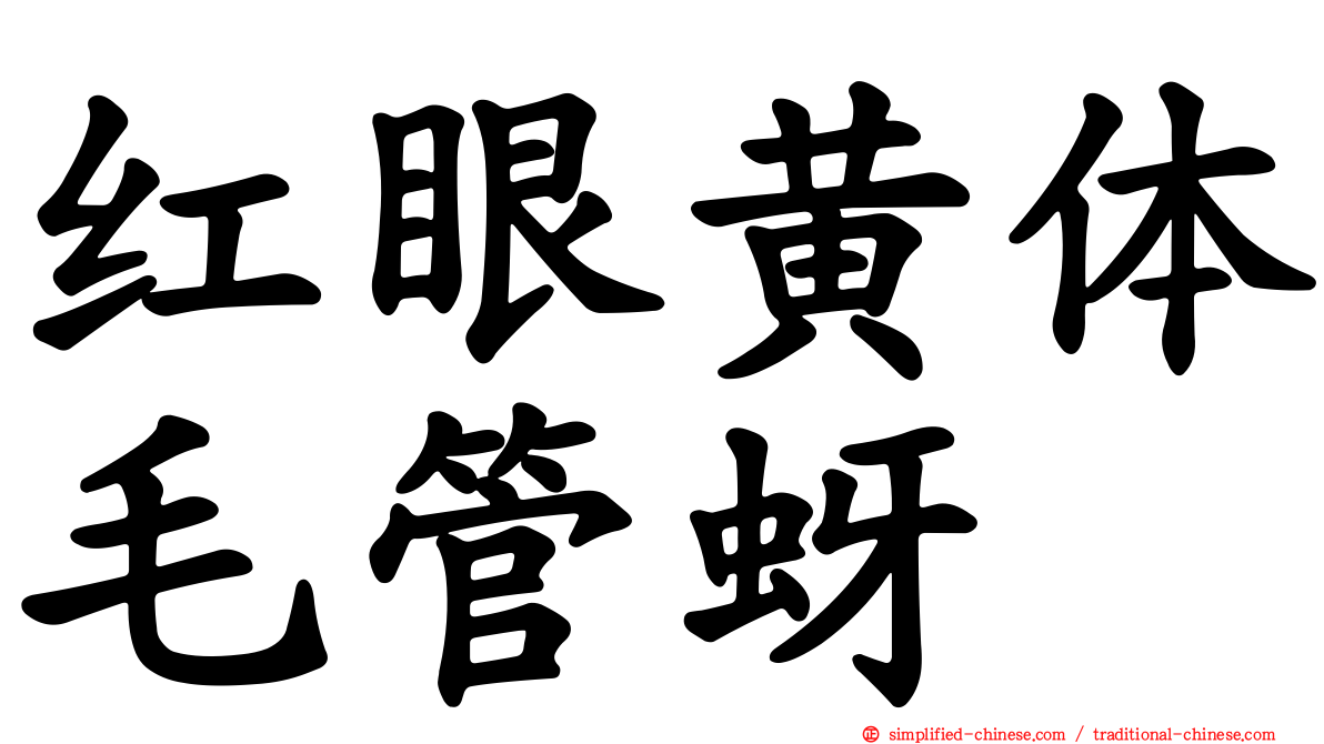 红眼黄体毛管蚜