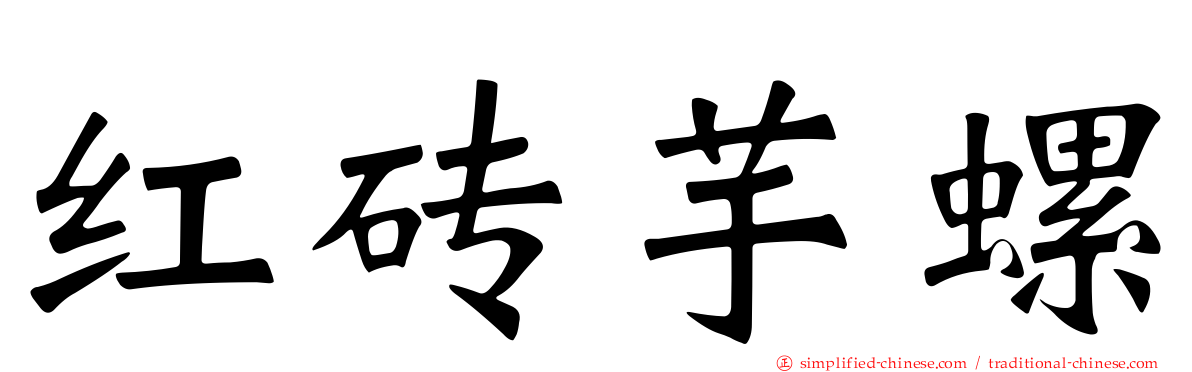 红砖芋螺