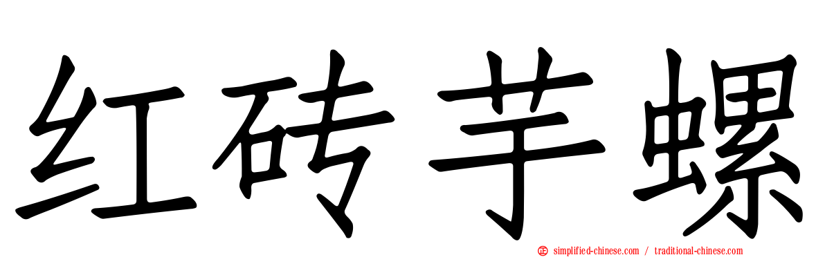 红砖芋螺