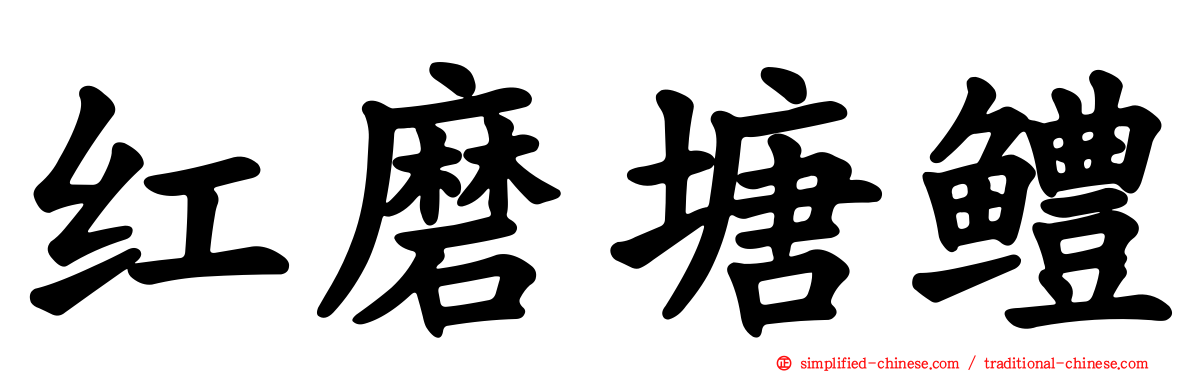红磨塘鳢