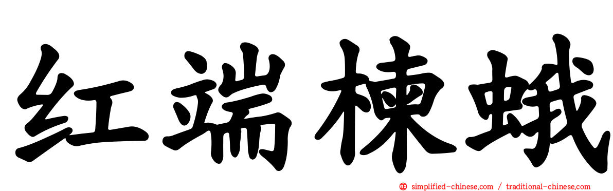 红端楝蛾