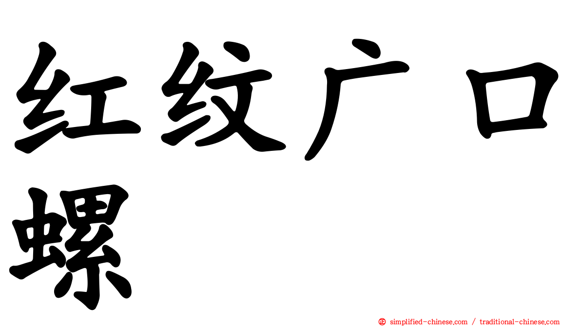 红纹广口螺