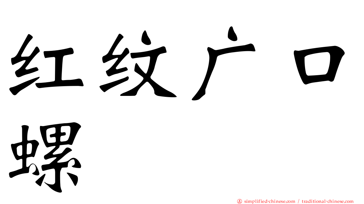 红纹广口螺