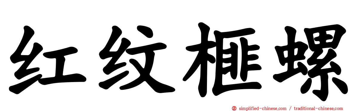 红纹榧螺