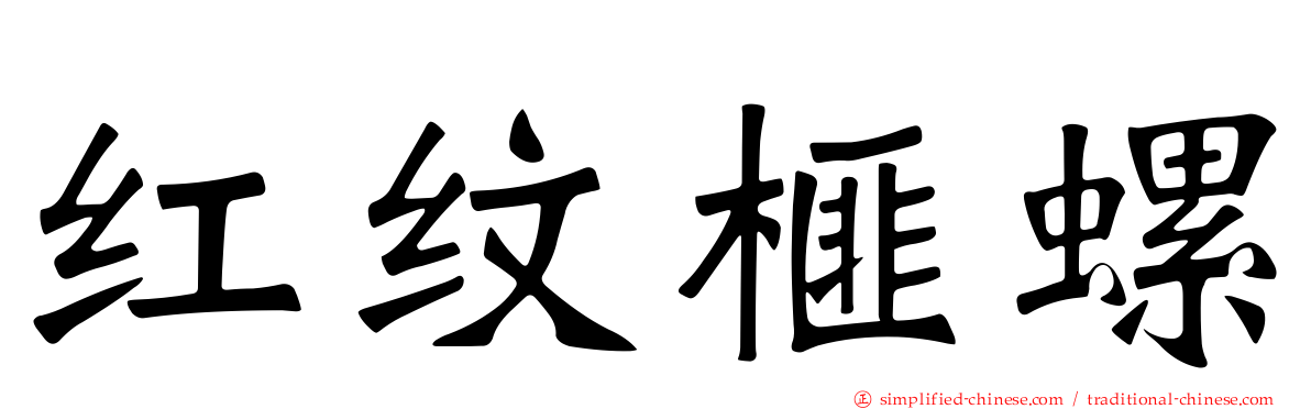 红纹榧螺