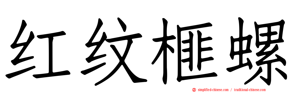 红纹榧螺
